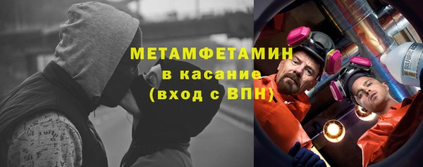 прущие грибы Аркадак