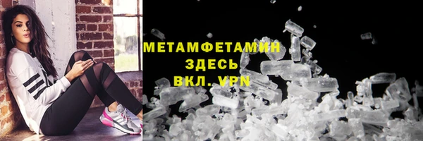 прущие грибы Аркадак