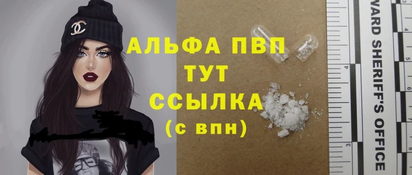 эйфоретик Арсеньев