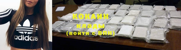 эйфоретик Арсеньев