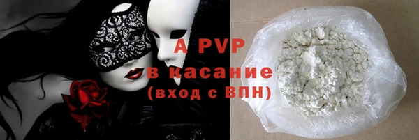 прущие грибы Аркадак