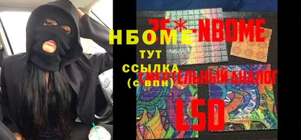 прущие грибы Аркадак
